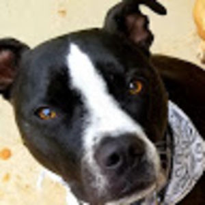 Meet your Posher, Cynthia